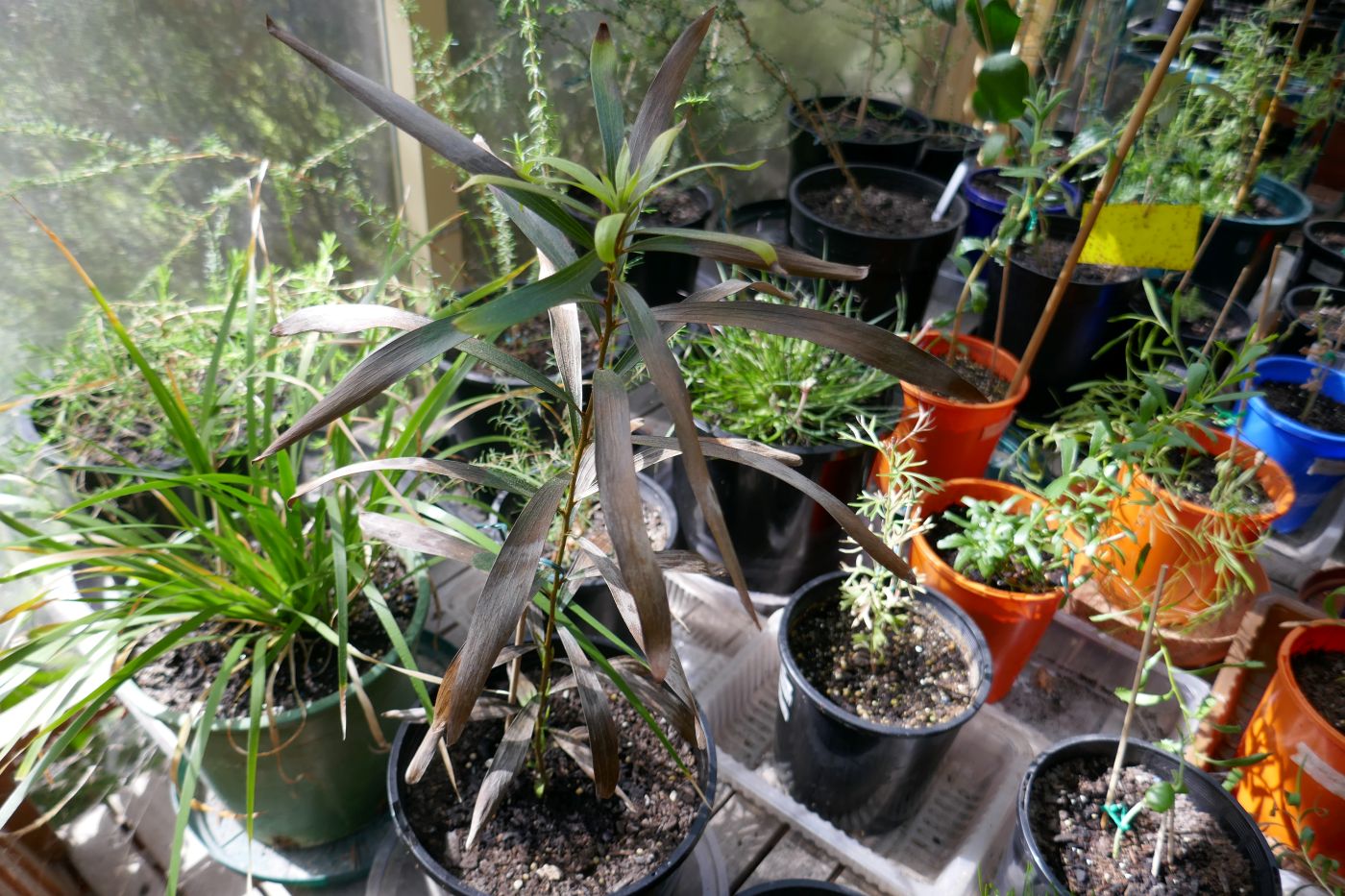 8 Ways Urban Farming Can Improve People’s Lives