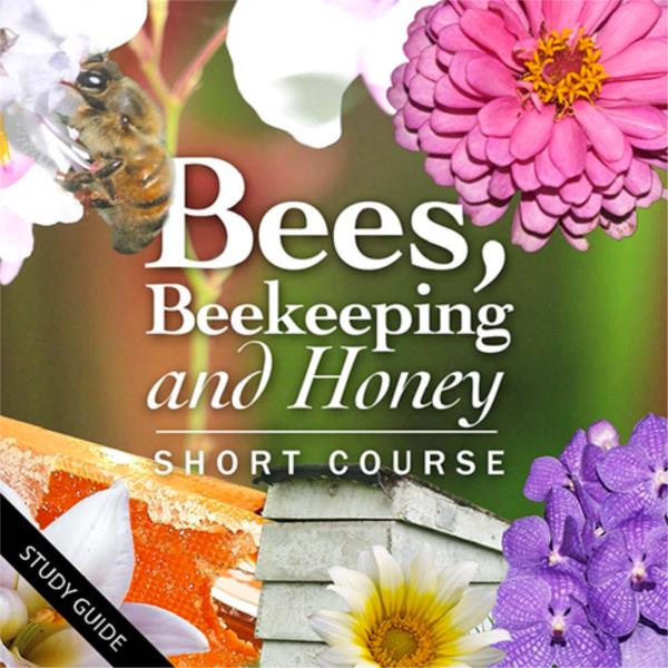 Bees, Beekeeping and Honey