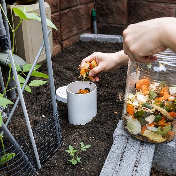 Certificate in Advanced Permaculture Systems
