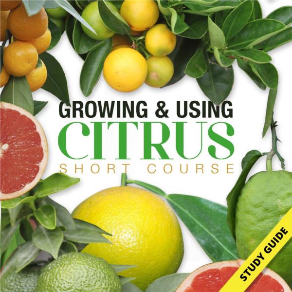 Growing and Using Citrus