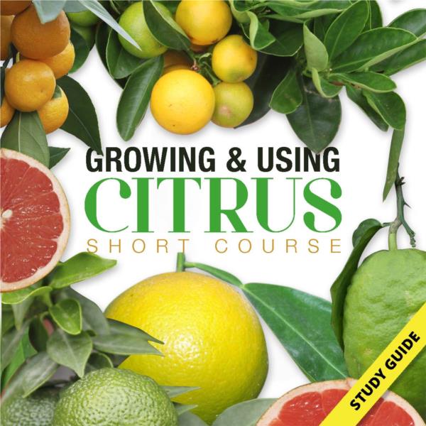 Growing and Using Citrus