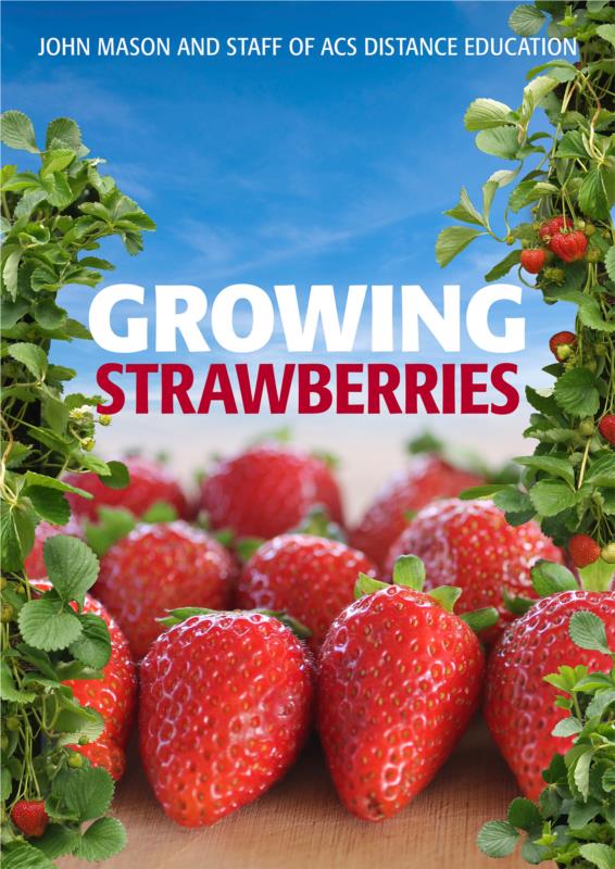 Growing Strawberries - PDF eBook