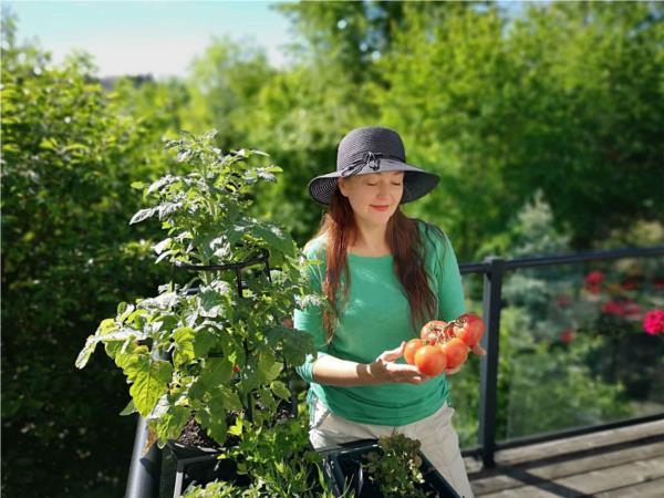 Home Vegetable Growing