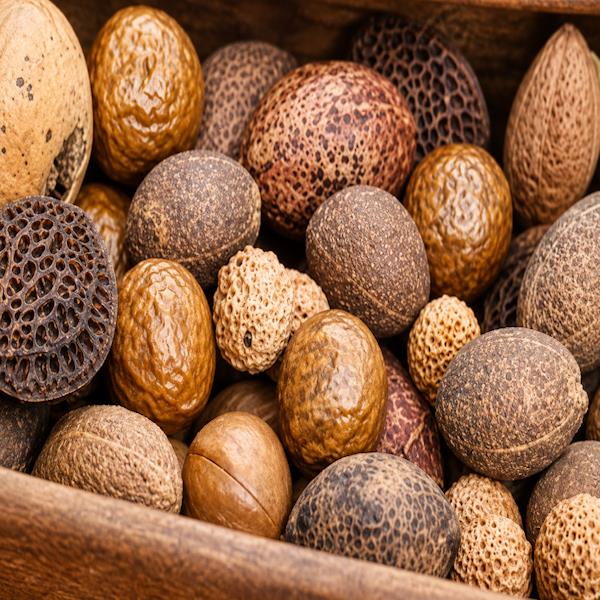 Nut Production