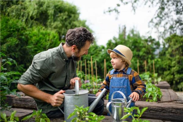 Organic Growing