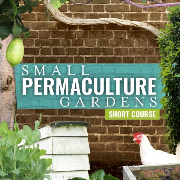 Permaculture Small Gardens