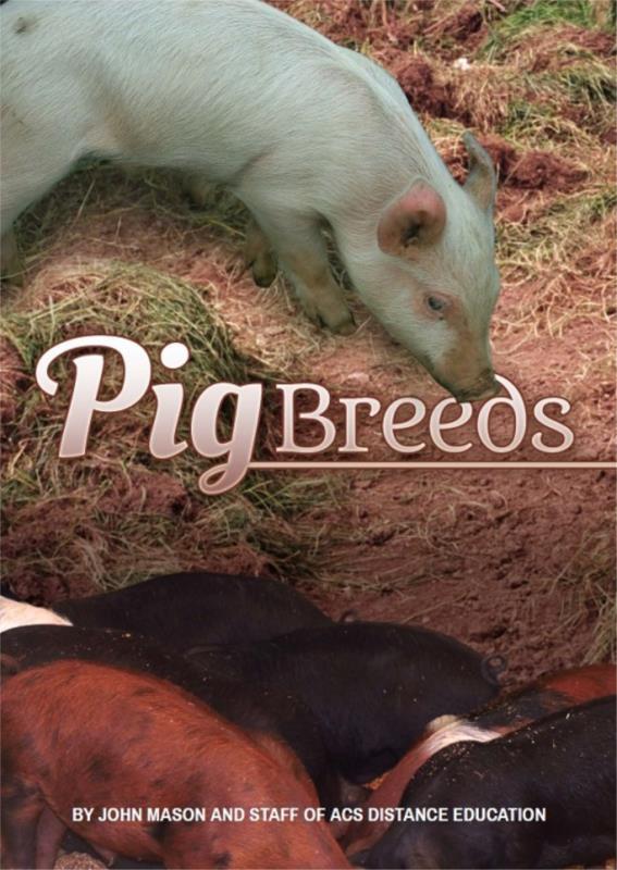 Pig Breeds- PDF ebook