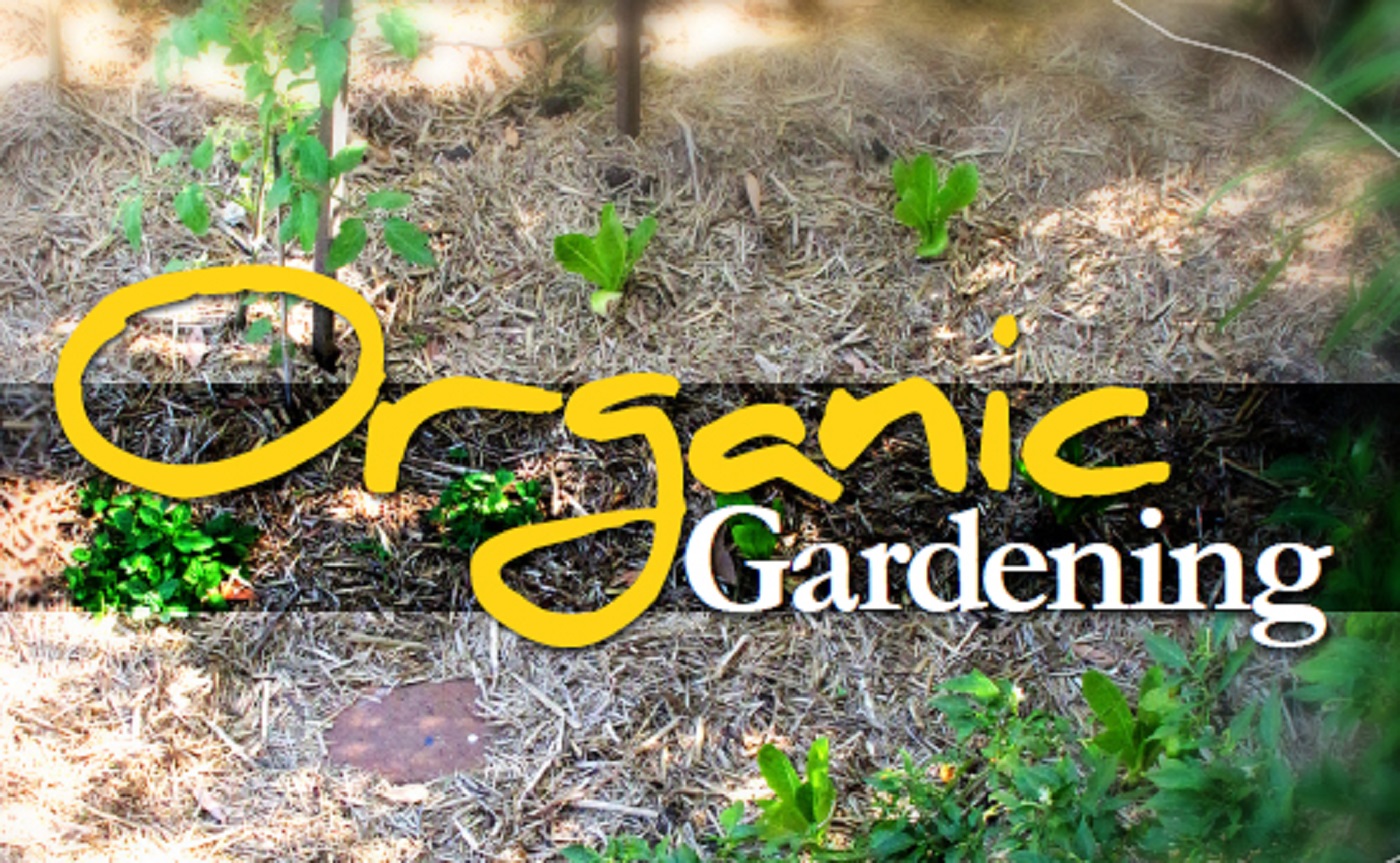 What is Organic Gardening?